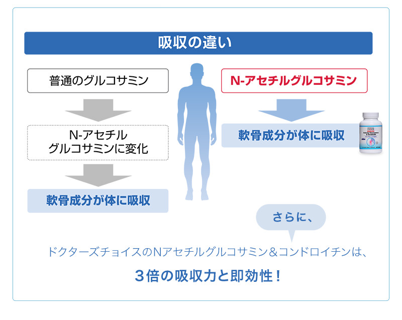 吸収の違い