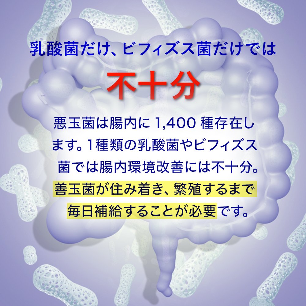 乳酸菌だけ、ビフィズス菌だけでは不十分！悪玉菌は腸内に1,400種存在します。１種類の乳酸菌やビフィズス菌では腸内環境改善には不十分。善玉菌が住み着き、繁殖するまで毎日補給することが必要です。